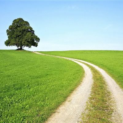 高盛表示如果伊朗战争冲击经济增长 则美元强势将减弱