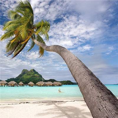 鸣人的假期游戏下载免费真正的