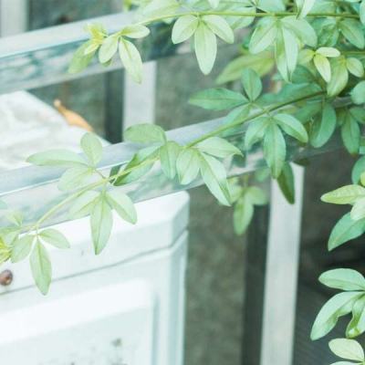 普京出手严控资本外流:5月起限制金条出口