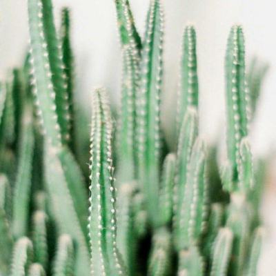 鸣人的假期无广告版